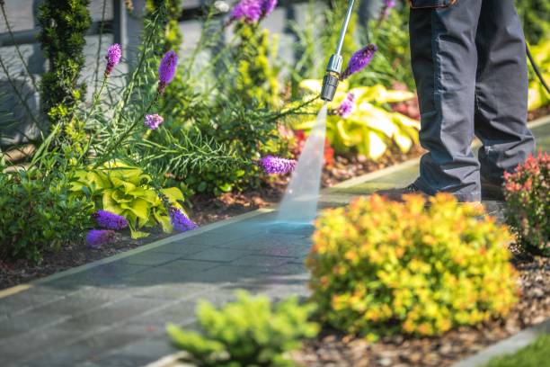 Best Pre-Holiday Cleaning  in Walhalla, SC